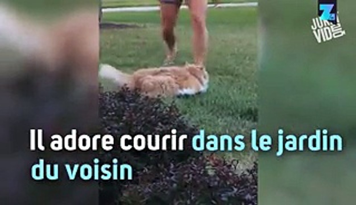 Billy ferait mieux d'arrêter les lasagnes !