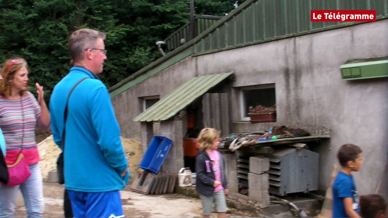 Quimper. Fête de l'eau au Quinquis