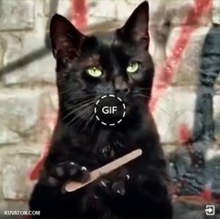 Collection OPI chez Carnet de beauté : Chat Alors....