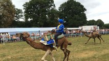 Pays de Vitré. Trois jours de fête sous le signe de l'Orient