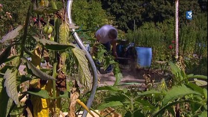 Sale temps pour les jardins associatifs - Reims