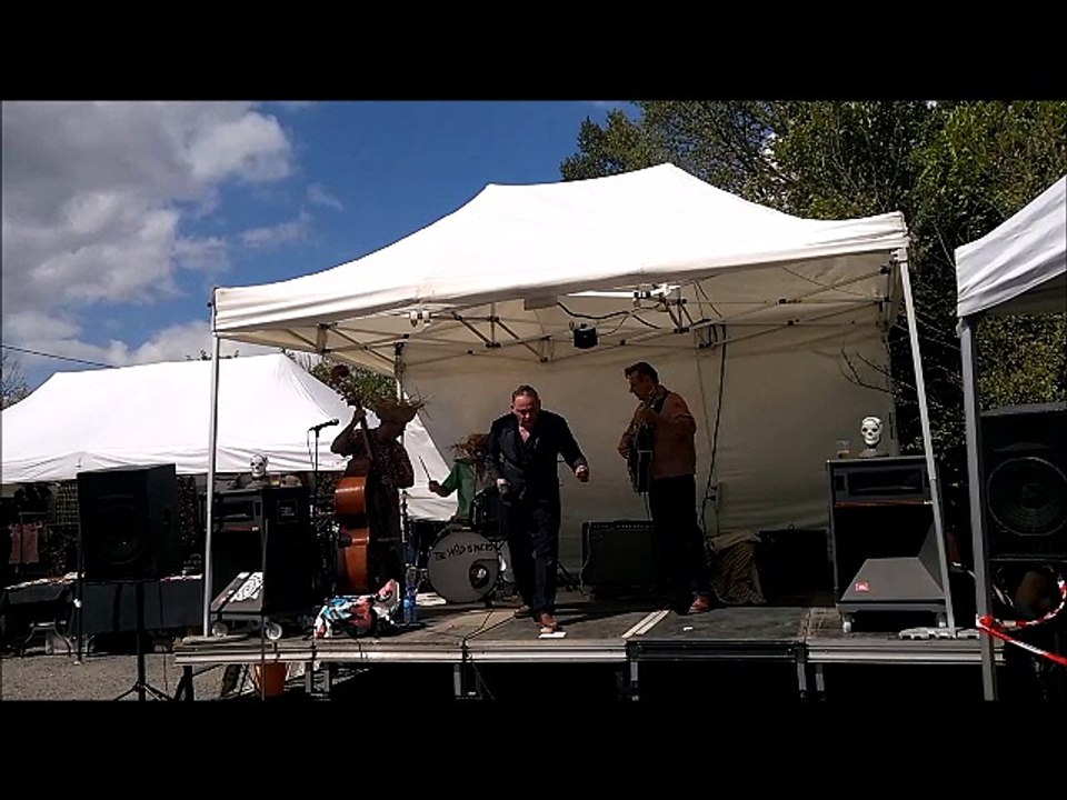 Ready to Rumble - 2016 - Wild Bongos part 4