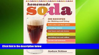 different   Homemade Soda: 200 Recipes for Making   Using Fruit Sodas   Fizzy Juices, Sparkling