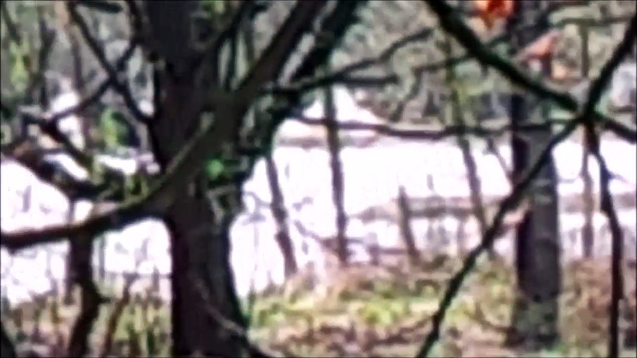 Timelapse Zeitraffer - Pinneberg Wasserskiarena April 2015