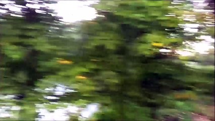 Timelapse Zeitraffer - Pinneberg September 2015 Funkturmsee /Full Film/Complete Movie/Ganzer Film