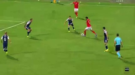 Alfred Effiong Goal - Malta 1-1 Scotland - (04/09/2016)