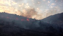 Bodrum'da Makilik Alanda Yangın - Muğla