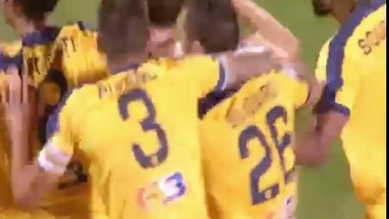 Salernitana 1-1 Hellas Verona FC - All Goals Exclusive - 4.9.2016