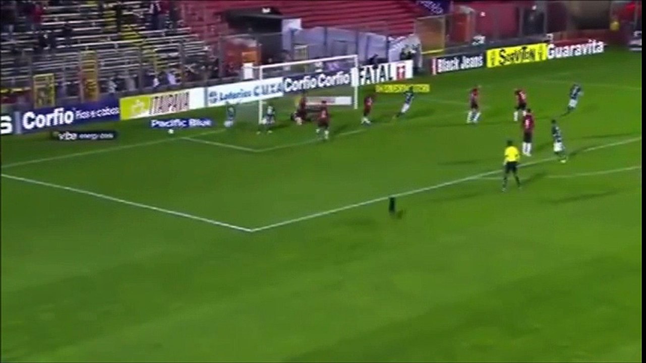 Cachorro invade jogo da série B