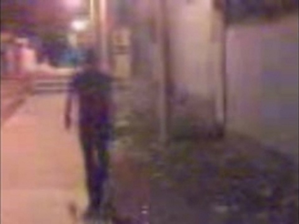 Ovnis ovni video criatura merida yucatan