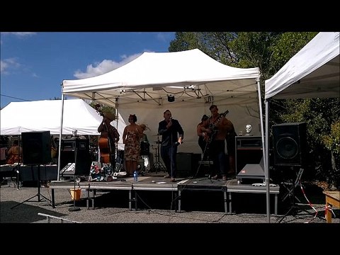 Ready to Rumble - 2016 - Wild Bongos part 6