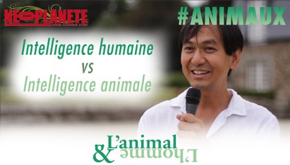 [L'animal&L'homme] L’intelligence animale, sa différence avec l’intelligence humaine