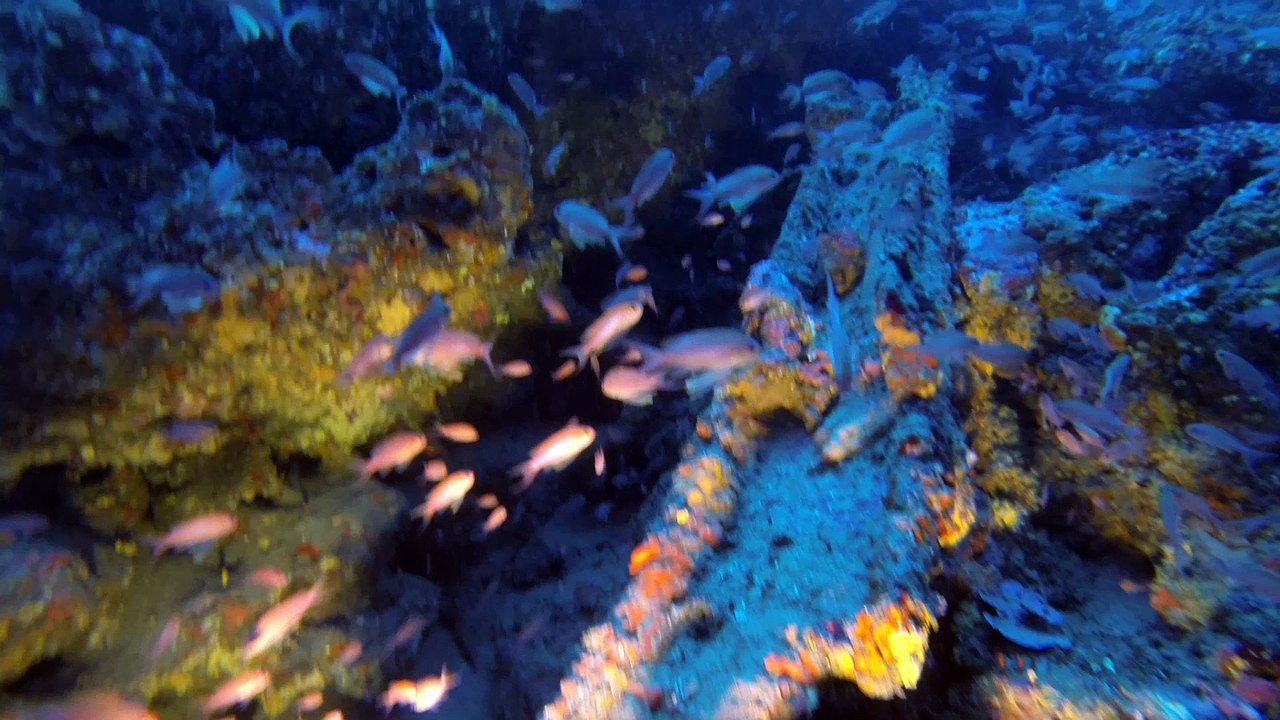 arche de planier-10-07-16