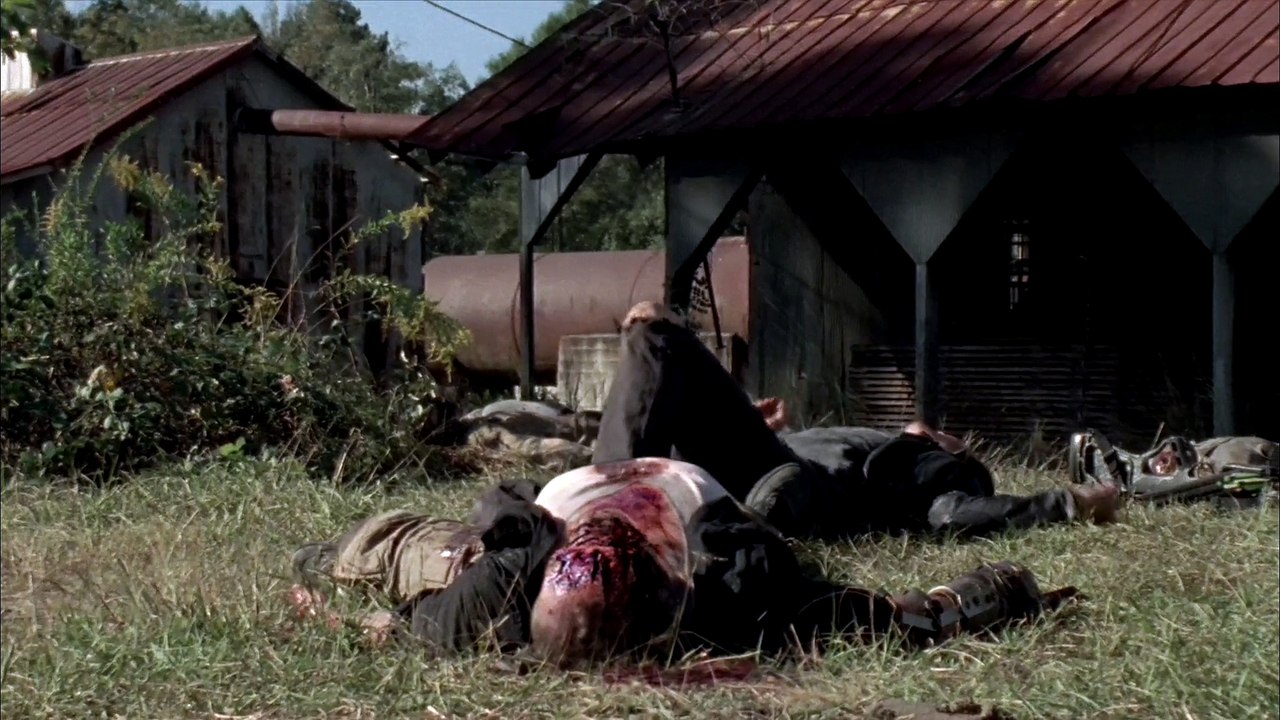 The Walking Dead || We Carry On