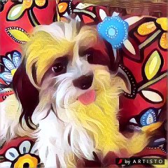 Mobile Capture Sep 1, 2016