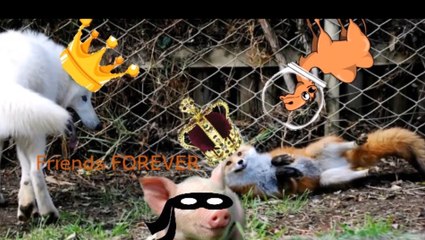 Check out this guy xD