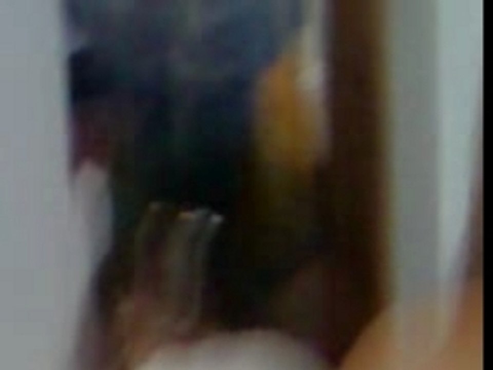 Niver 5