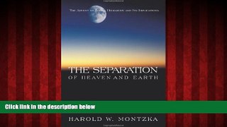 For you The Separation of Heaven and Earth: The Advent of Social Hierarchy and Its Implications