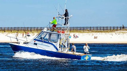 Galveston Fishing Charters