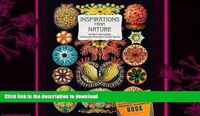 READ  Inspirations from Nature: An Adult Coloring Book Featuring the Illustrations of Ernst