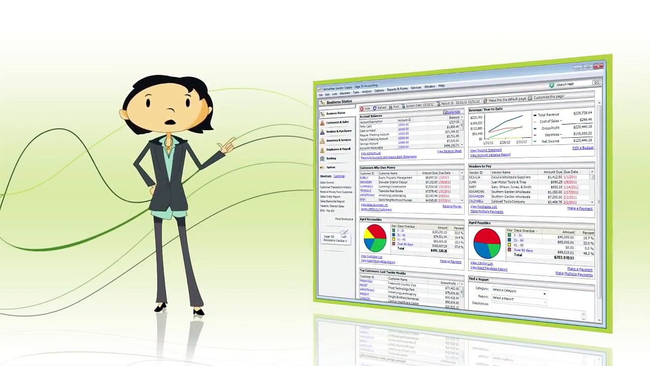 Sage 50 Accounting solution(peachtree) small briefing