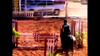 Horse fails try not to laugh - Funny horse fails compilation