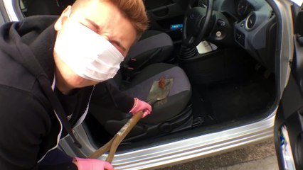 Ben Phillips | Cat Jacker ~ a cats sh_t in my car ~ PRANK!!