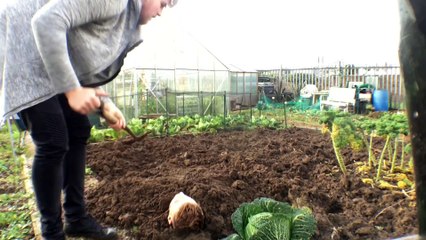 Ben Phillips | Buried alive - worn in my willy - PRANK!