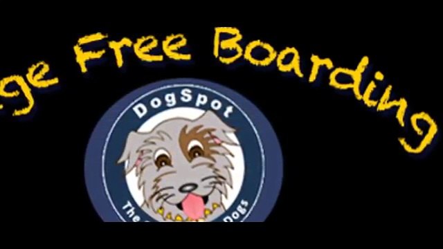 Dog Boarding Encinitas