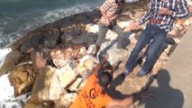 İzmir Ölü 'Caretta Caretta Güzelbahçe Sahiline Vurdu