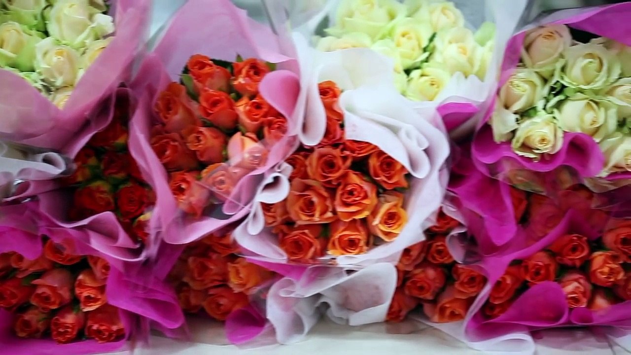 Caroline Plouff |  Cut Flower Farmer