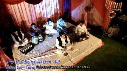 Pashto New Songs 2016 Zeeshan Janat Gul - Teegh Da Beltoon