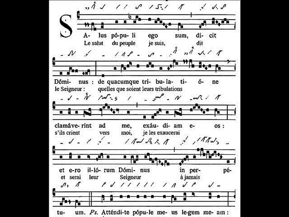Introitus Salus populi, Dominica XXV TpA (25 TO)