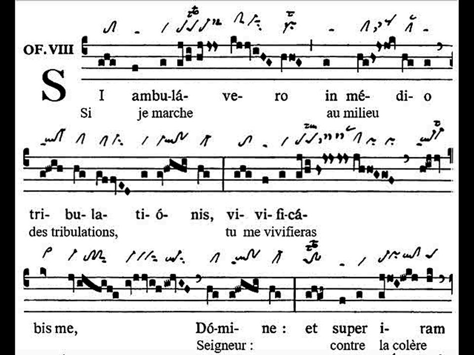 Offertorium Si ambulavero, Dominica XXV TpA (25 TO)