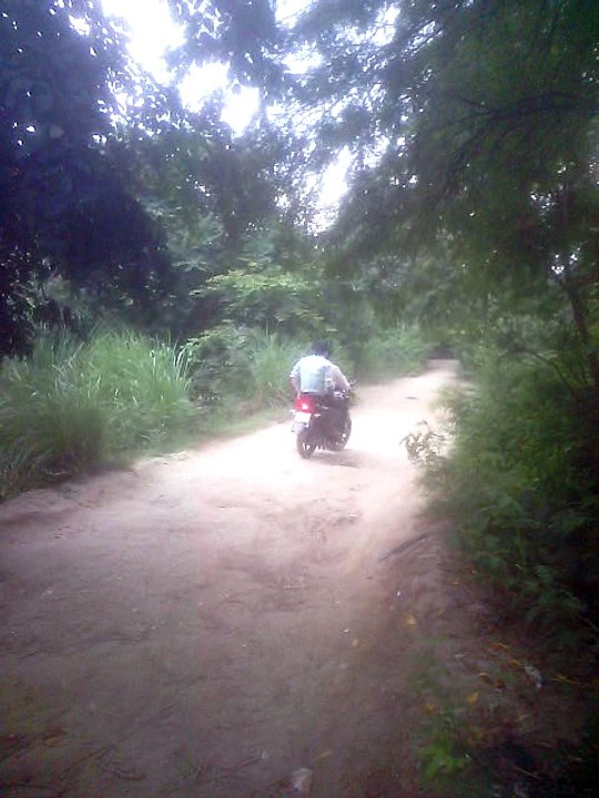 forest 2 Shivam Porwal