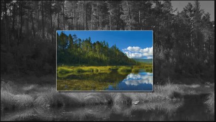 Splet narodnih pesama 8