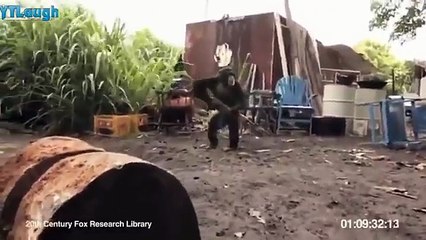 Funny videos 2016 - Stupid people doing stupid things