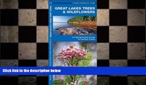 READ book  Great Lakes Trees   Wildflowers: A Folding Pocket Guide to Familiar Species (Pocket