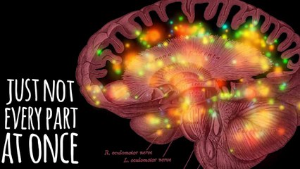 7 Facts About The Brain That Are Not True