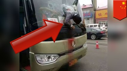 한 남성, 도로 달리는 버스 위에서 앞유리창으로 달려가 박치기, 피 철철