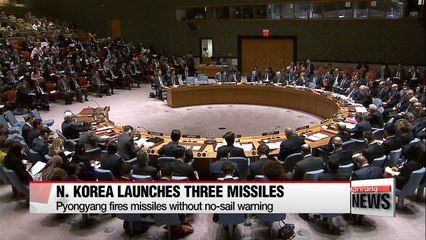 N. Korea fires three Rodong missiles during G20 talks