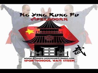 Zelfverdediging Apeldoorn: Nine Tigers Kung Fu
