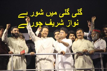 Imran Khan's Short Speech at Pakistan Zindabad Jalsa Gah