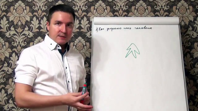 Евгений Грин — Как устроено поле человека