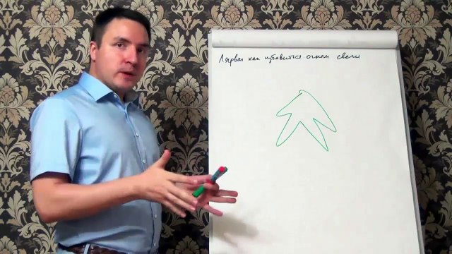 Евгений Грин — Лярва как избавиться огнём свечи