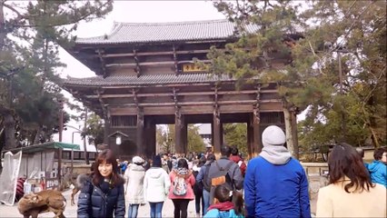 CAPITULO 15. MÁS TRENES, MÁS LÍOS, Y AQUELLOS CIERVOS CARNÍVOROS