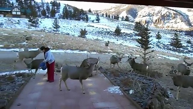 Filma Sua Moglie Mentre Esce Di Casa: Stanno Per Ricevere Una Visita Favolosa