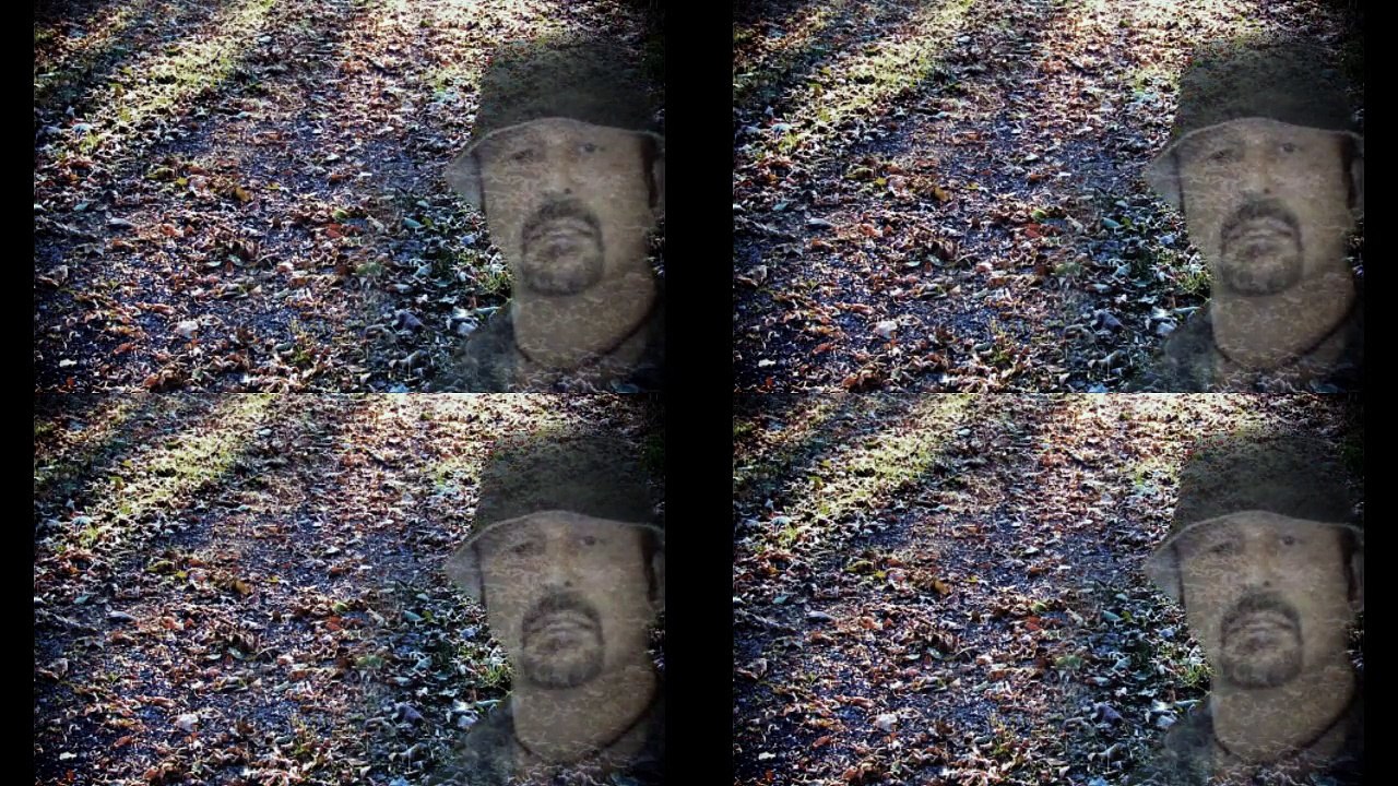 TERRY VOICE chante avec les BEE GEES, I STARTED A JOKE