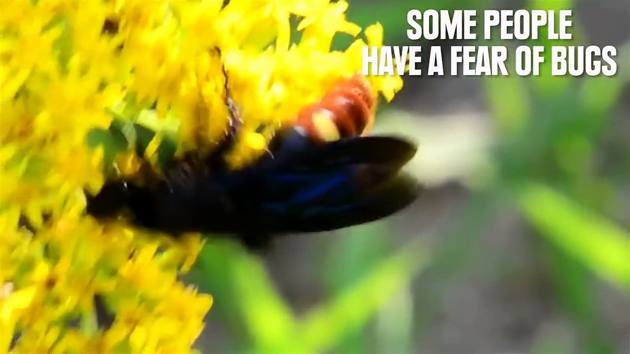 Why You Should Not Be Afraid