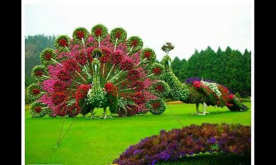 Tariq Jamil sb ka pur asr bayyan